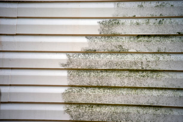 Central Garage, VA Siding Installation & Repair Company